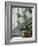 Coffee Tree, Positano, Amalfi Coast, Campania, Italy-Walter Bibikow-Framed Photographic Print