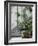 Coffee Tree, Positano, Amalfi Coast, Campania, Italy-Walter Bibikow-Framed Photographic Print