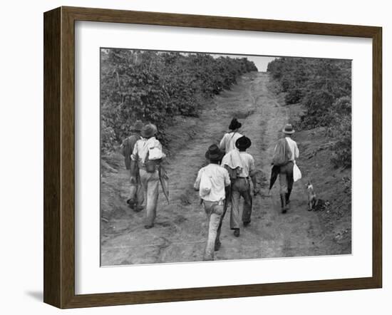 Coffee Workers Walking Along a Path Through the Fields-null-Framed Photographic Print