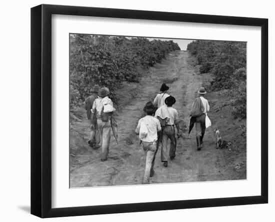 Coffee Workers Walking Along a Path Through the Fields-null-Framed Photographic Print