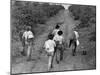 Coffee Workers Walking Along a Path Through the Fields-null-Mounted Photographic Print