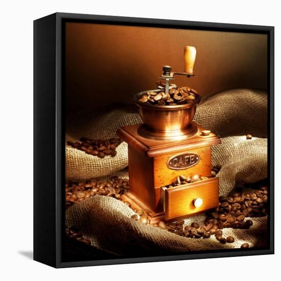 Coffee-Subbotina Anna-Framed Stretched Canvas