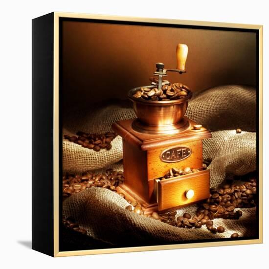 Coffee-Subbotina Anna-Framed Stretched Canvas