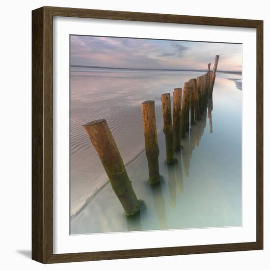 Cogitz-David Baker-Framed Photographic Print