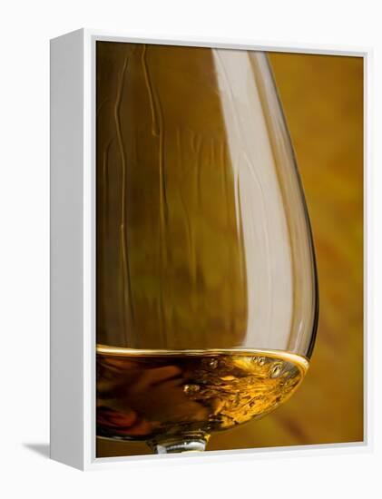 Cognac in Snifter-Jean Gillis-Framed Premier Image Canvas
