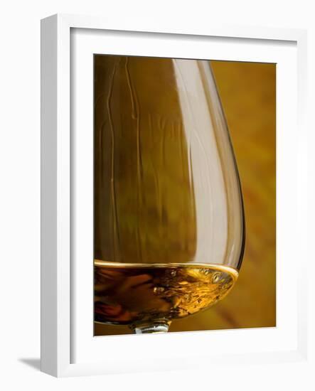 Cognac in Snifter-Jean Gillis-Framed Photographic Print