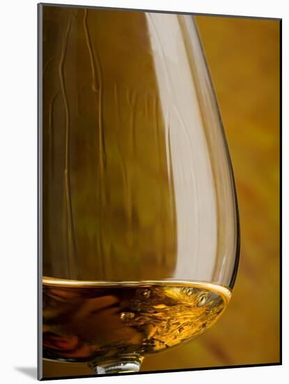 Cognac in Snifter-Jean Gillis-Mounted Photographic Print