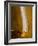 Cognac in Snifter-Jean Gillis-Framed Photographic Print