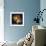 Cognac-null-Framed Giclee Print displayed on a wall