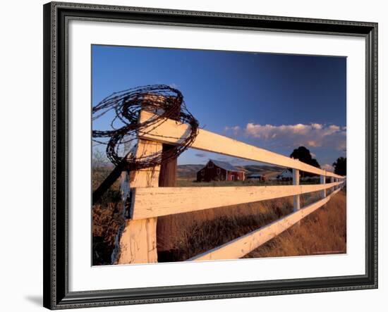 Coiled Barbed Wire and Red Barn, near Walla Walla, Washington, USA-Brent Bergherm-Framed Photographic Print