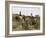 Coin de vigne, Languedoc-Edouard Debat-Ponsan-Framed Giclee Print