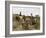 Coin de vigne, Languedoc-Edouard Debat-Ponsan-Framed Giclee Print