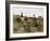 Coin de vigne, Languedoc-Edouard Debat-Ponsan-Framed Giclee Print