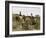 Coin de vigne, Languedoc-Edouard Debat-Ponsan-Framed Giclee Print