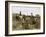 Coin de vigne, Languedoc-Edouard Debat-Ponsan-Framed Giclee Print