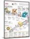 Premium Photographic Print