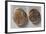 Coins from Time of Vercingetorix, Roman Coins BC-null-Framed Giclee Print