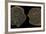 Coins of Uzbeg Khan, Ca 1320-null-Framed Photographic Print