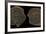 Coins of Uzbeg Khan, Ca 1320-null-Framed Photographic Print