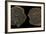 Coins of Uzbeg Khan, Ca 1320-null-Framed Photographic Print