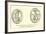 Coins to Commemorate the Capture of Judaea-null-Framed Giclee Print