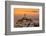 Coit Tower and Golden Fog Flow, San Francisco, Cityscape, Urban View-Vincent James-Framed Photographic Print