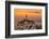 Coit Tower and Golden Fog Flow, San Francisco, Cityscape, Urban View-Vincent James-Framed Photographic Print