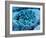 Col. SEM of Eye Melanocyte Cell & Pigment Granules-Steve Gschmeissner-Framed Photographic Print