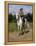 Col. William F. (Buffalo Bill) Cody-Rosa Bonheur-Framed Premier Image Canvas