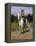 Col. William F. (Buffalo Bill) Cody-Rosa Bonheur-Framed Premier Image Canvas