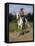 Col. William F. (Buffalo Bill) Cody-Rosa Bonheur-Framed Premier Image Canvas