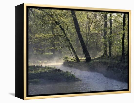 Colbert Creek in Morning Mist, Natchez Trace, Northwestern Alabama-null-Framed Premier Image Canvas