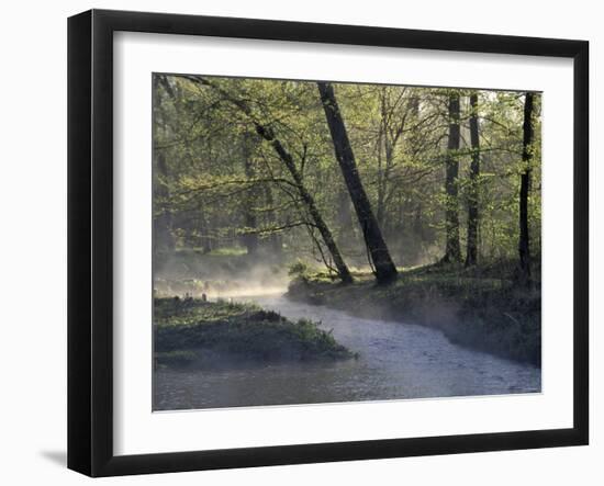 Colbert Creek in Morning Mist, Natchez Trace, Northwestern Alabama-null-Framed Photographic Print