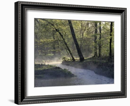 Colbert Creek in Morning Mist, Natchez Trace, Northwestern Alabama-null-Framed Photographic Print
