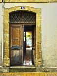 Weathered Doorway III-Colby Chester-Photographic Print