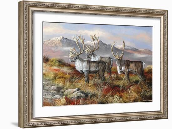 Cold Alaskan Ridge-Trevor V. Swanson-Framed Giclee Print