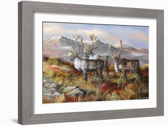 Cold Alaskan Ridge-Trevor V. Swanson-Framed Giclee Print