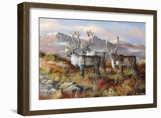 Cold Alaskan Ridge-Trevor V. Swanson-Framed Giclee Print