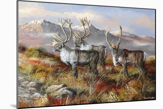 Cold Alaskan Ridge-Trevor V. Swanson-Mounted Giclee Print