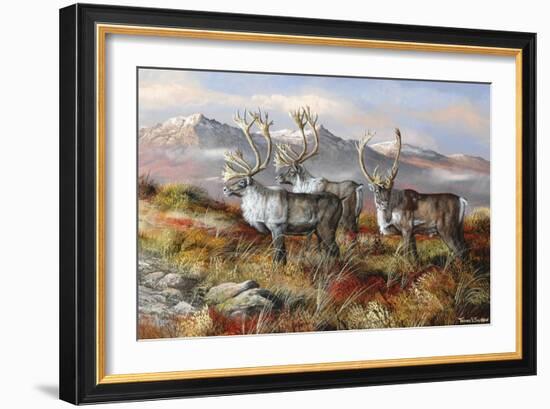 Cold Alaskan Ridge-Trevor V. Swanson-Framed Giclee Print