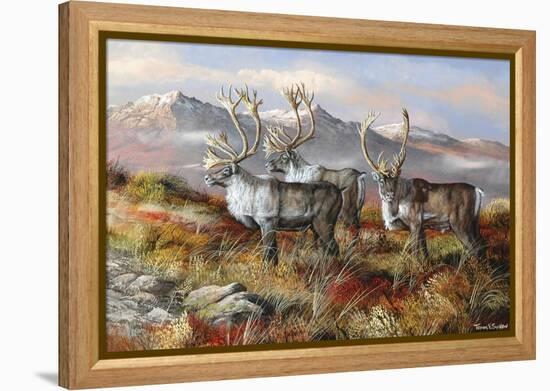 Cold Alaskan Ridge-Trevor V. Swanson-Framed Premier Image Canvas