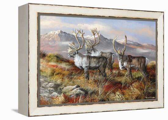 Cold Alaskan Ridge-Trevor V. Swanson-Framed Premier Image Canvas