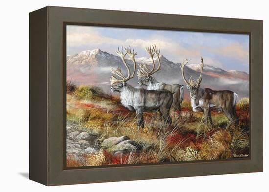 Cold Alaskan Ridge-Trevor V. Swanson-Framed Premier Image Canvas