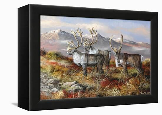Cold Alaskan Ridge-Trevor V. Swanson-Framed Premier Image Canvas