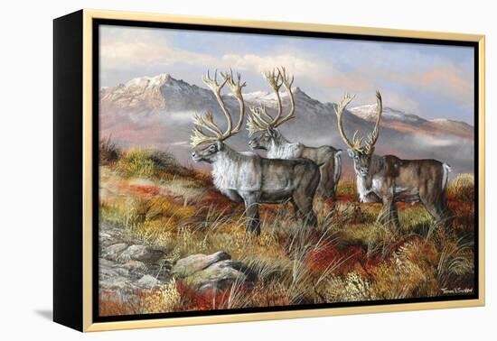 Cold Alaskan Ridge-Trevor V. Swanson-Framed Premier Image Canvas