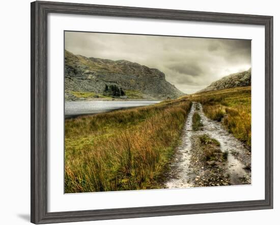 Cold Comfort-Mark Gemmell-Framed Photographic Print