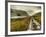 Cold Comfort-Mark Gemmell-Framed Photographic Print