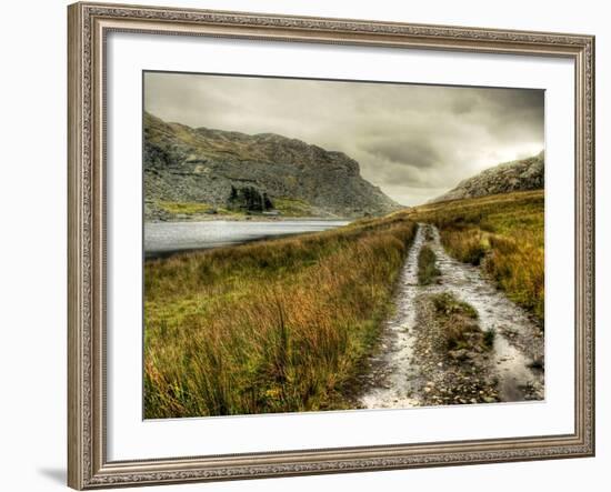 Cold Comfort-Mark Gemmell-Framed Photographic Print