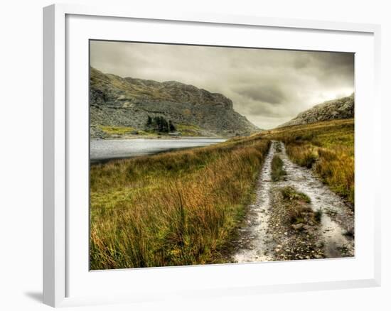 Cold Comfort-Mark Gemmell-Framed Photographic Print