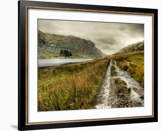 Cold Comfort-Mark Gemmell-Framed Photographic Print